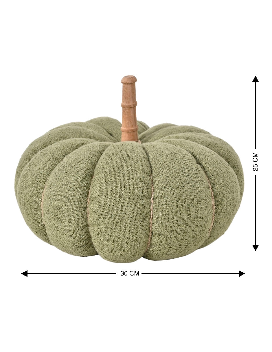 Calabaza Tela Con Tallo 5