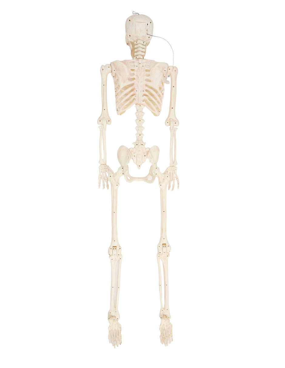 Figura decorativa 2