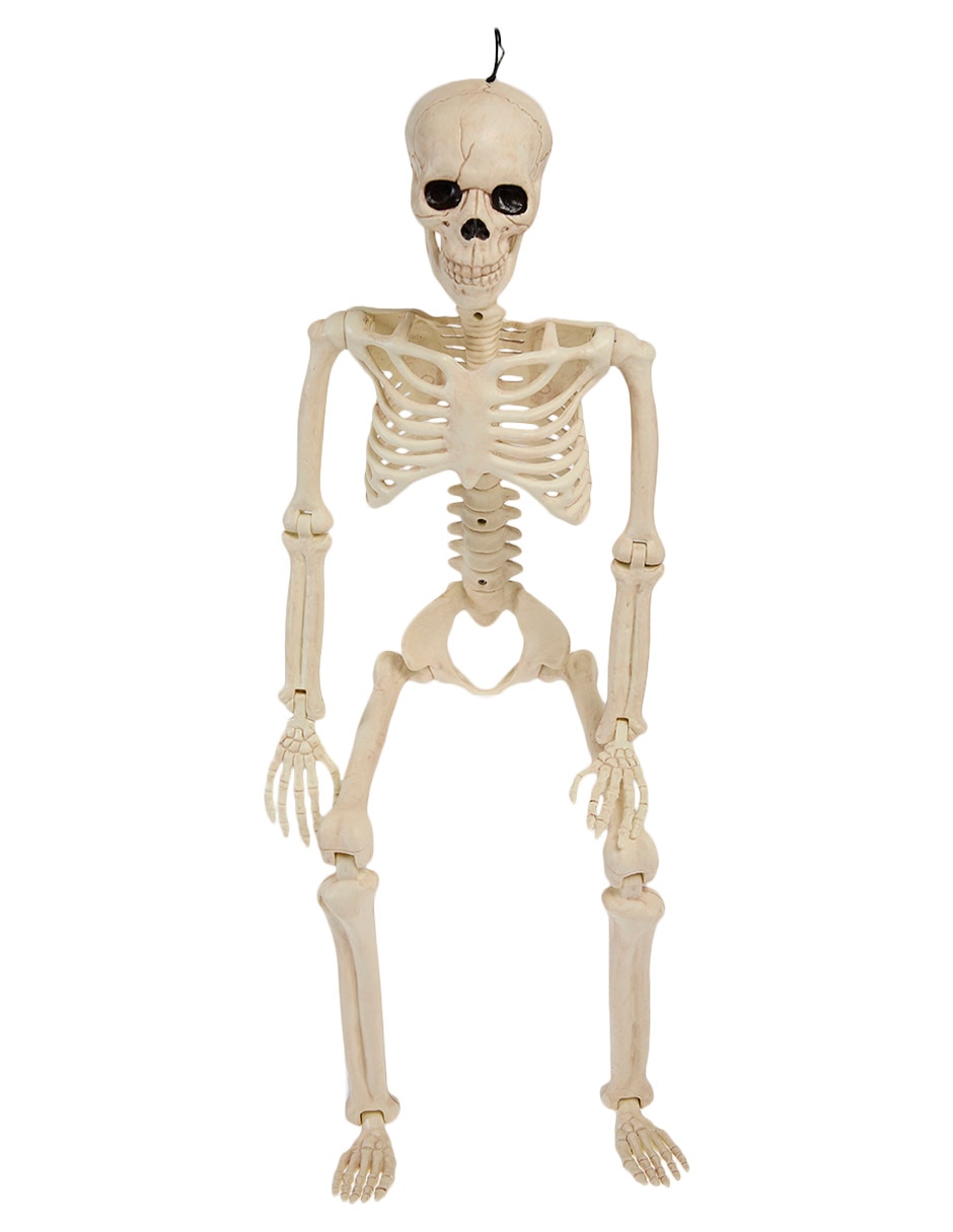 ESQUELETO POSABLE 1