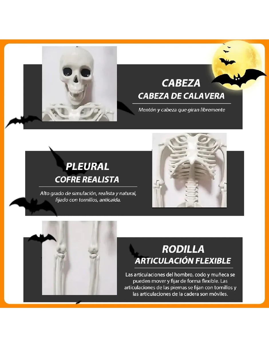 Set decoración con forma de calavera 3